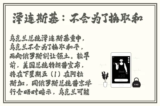 ZOOM另一类ZZO03